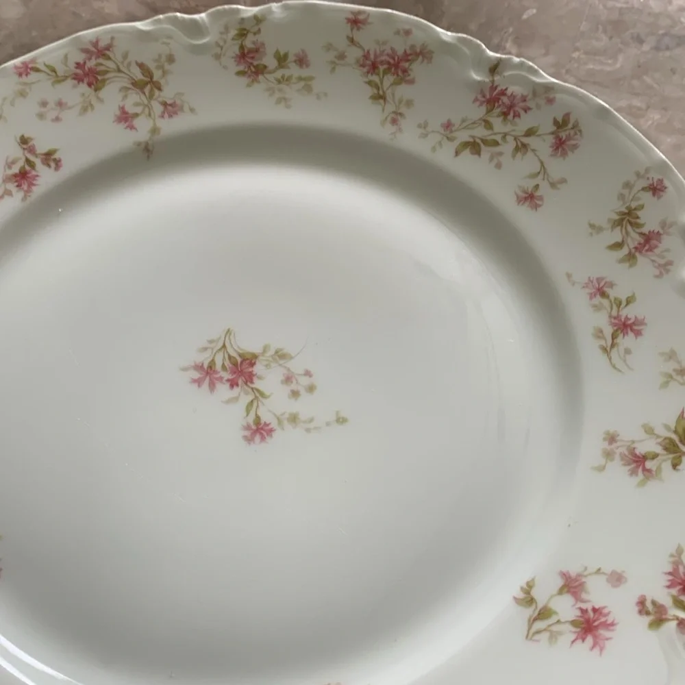 6 Vintage HAVILAND LIMOGES‎ France Fine China Pink FLOWERS 9 1/2